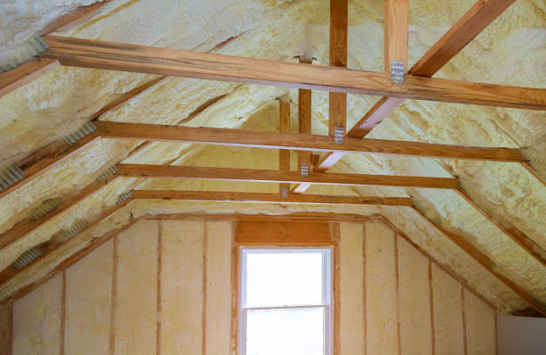 Best Insulation Removal  in Bayou Country Clu, LA