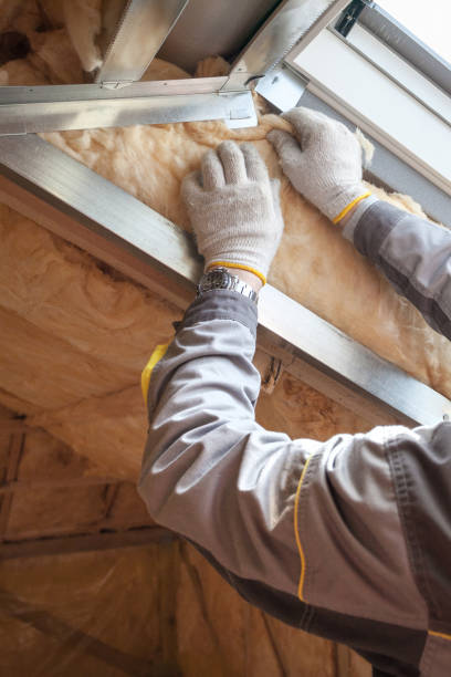 Best Fiberglass Insulation  in Bayou Country Clu, LA